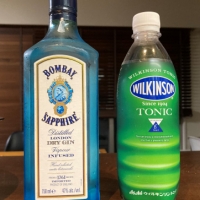 家飲み充実大作戦4 ～ジントニックをアレンジ～