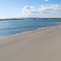 海辺の地をゆく　「石巻市・南浜」2012年11月21日