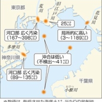 放射性物質が流入する東京湾