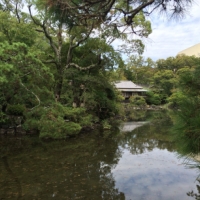富士山の湧水をたたえて復活した楽寿園の小浜池