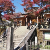 紅葉色づく伊豆の小京都・修善寺