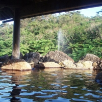 見わたす限りジャングル！西表島（いりおもてじま）に存在した日本最南端の温泉【湯めぐり島旅】