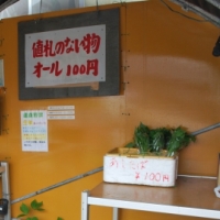 【変わった野菜】アシタバ