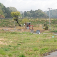 鎮守の森の復活へ ～いわき市久之浜見渡神社～