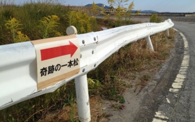 東日本大震災・復興支援リポート 「奇跡の一本松のいま」