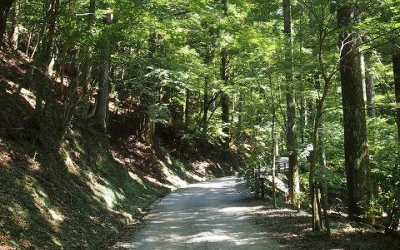 陸の孤島を救った天城山隧道