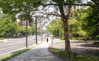 75年は草木も生えぬと言われた広島の大通り