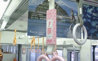 伊豆箱根鉄道駿豆線にある「噂の吊革」を発見！