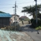 東日本大震災・復興支援リポート 田代島と空き家