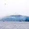 釜石の山林火災で目撃した自衛隊ヘリのヘビーローテーション