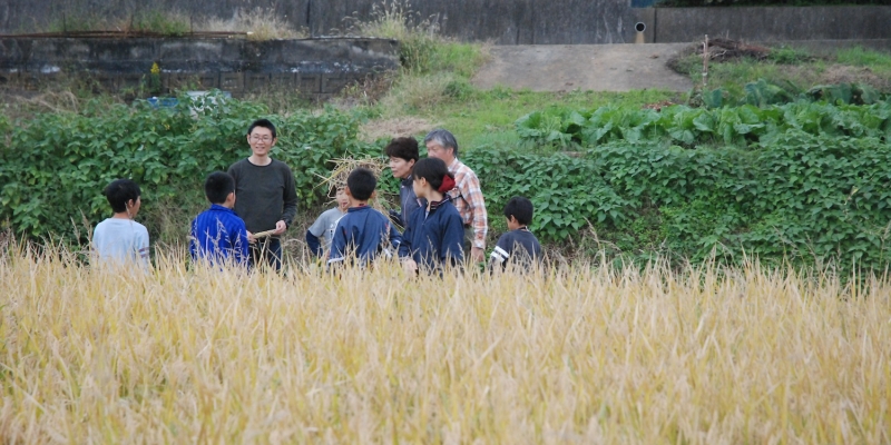 久之浜の小学生たちの稲刈り体験 in しずおか