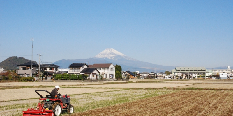 富士山は世界「自然」遺産に相応しくないのか？