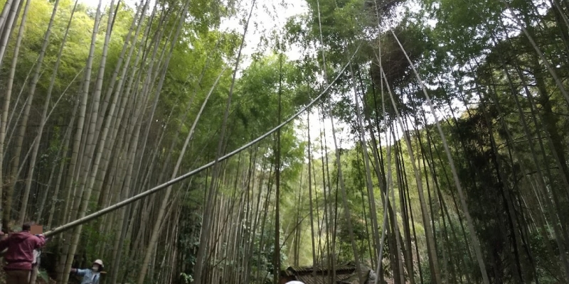 体験から学ぶ Part21 ～メンマ作りから始める竹林整備～
