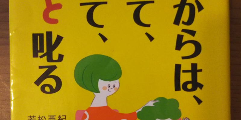 【書籍】 3歳からは、ほめて、認めて、ちょっと叱る_若松亜紀