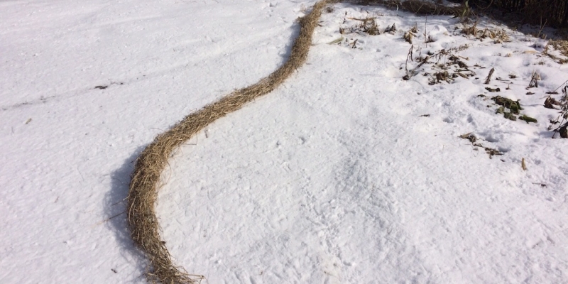 雪のさんぽ道で見つけた「冬の龍」
