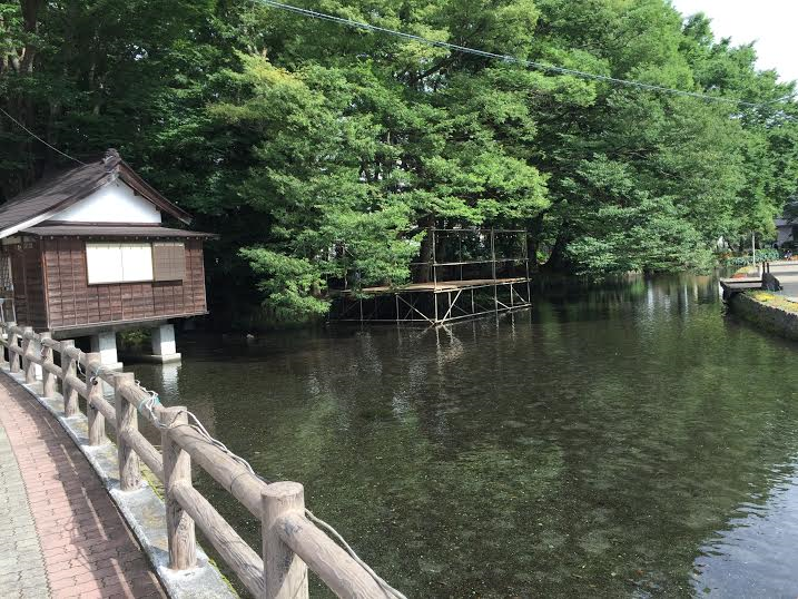 この森が白滝公園。湧水が桜川に流れ込みます。