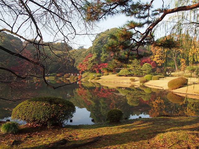 日本庭園の中心にある「上の池」