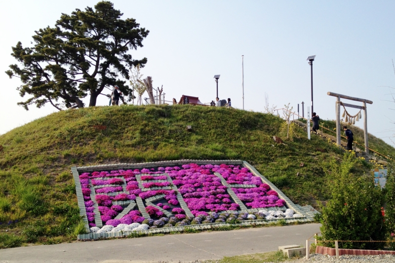 日和山の芝桜（2014年4月26日）