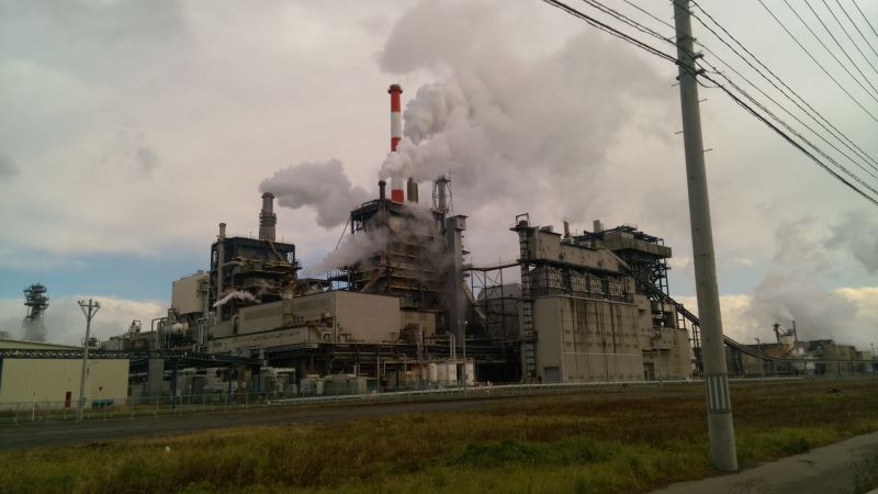 工場前の産業道路から見た日本製紙石巻工場