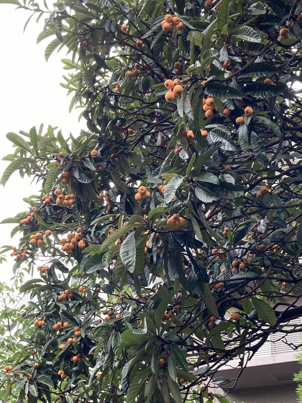 白滝公園にて