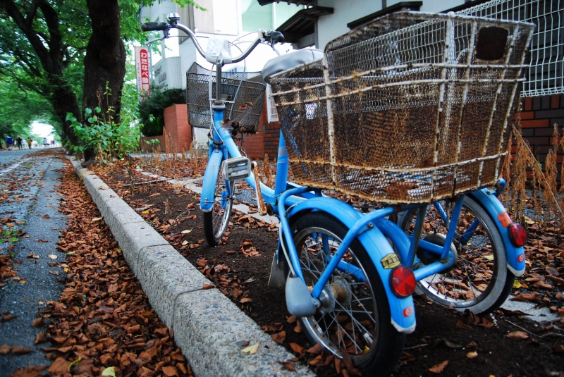 放置された自転車。震災から2年間半もの間、置かれたままなのだろうか。