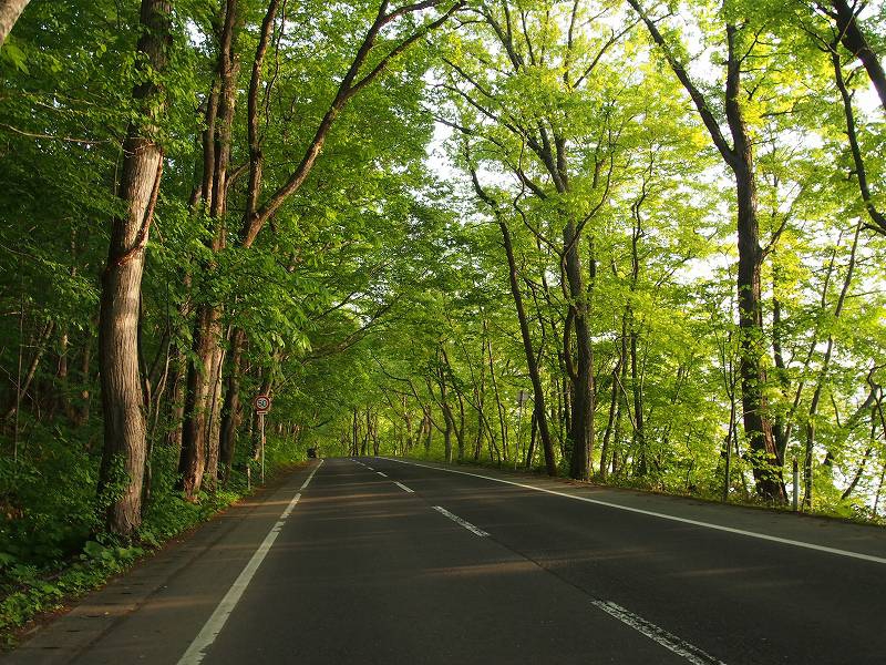 十和田湖畔を走る道路