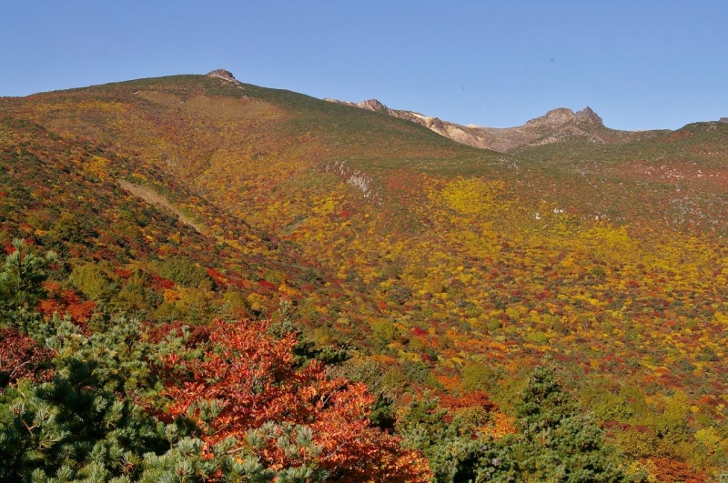 福島県の名峰・安達太良山の紅葉（2012年10月に撮影）