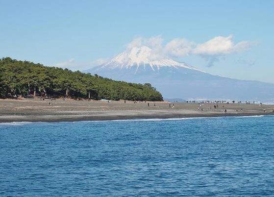 松林、海、そして富士山。絵になります！