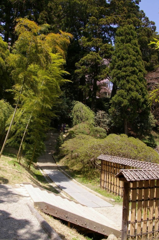 階段を登りきった木立の中に、陽徳院お霊屋はひっそりと建っている。