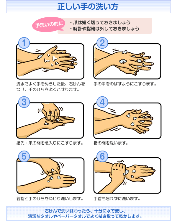 正しい手の洗い方（出典元：政府広報オンライン）