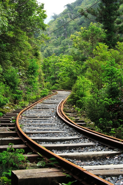 森林鉄道が通る屋久島