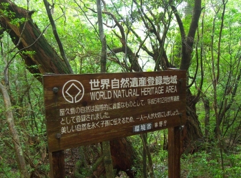 世界自然遺産登録地域・屋久島(C)yasuharu