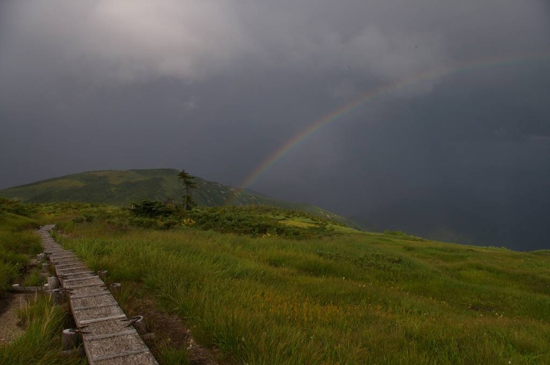 平ヶ岳山頂に広がる湿原。小雨の後に虹がでた。