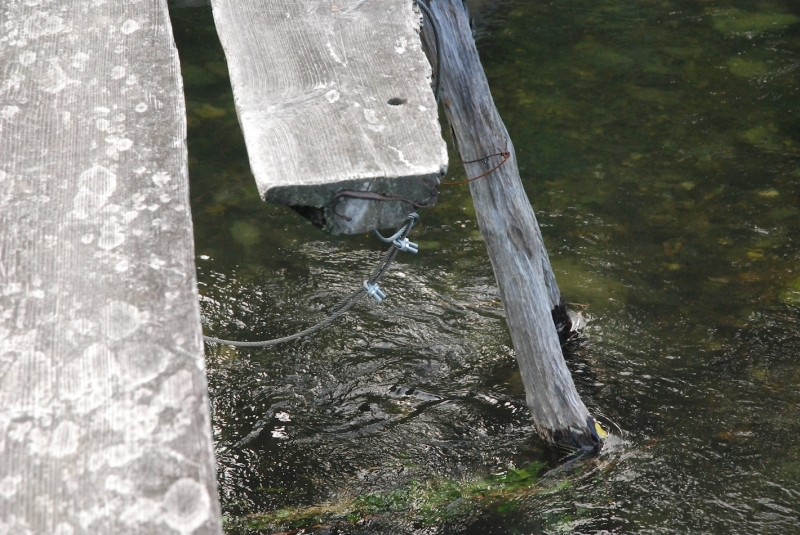 水圧を受けて川底に固定されることで橋を支えるザマザ。