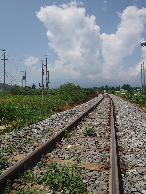 単線をトコトコと電車がゆく。