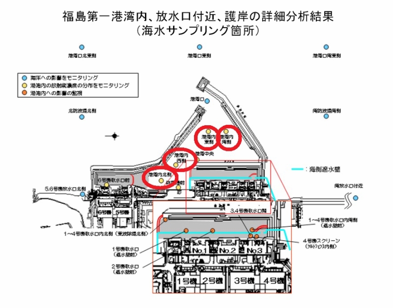福島第一港湾内、放水口付近、護岸の詳細分析結果｜東京電力 平成27年9月10日