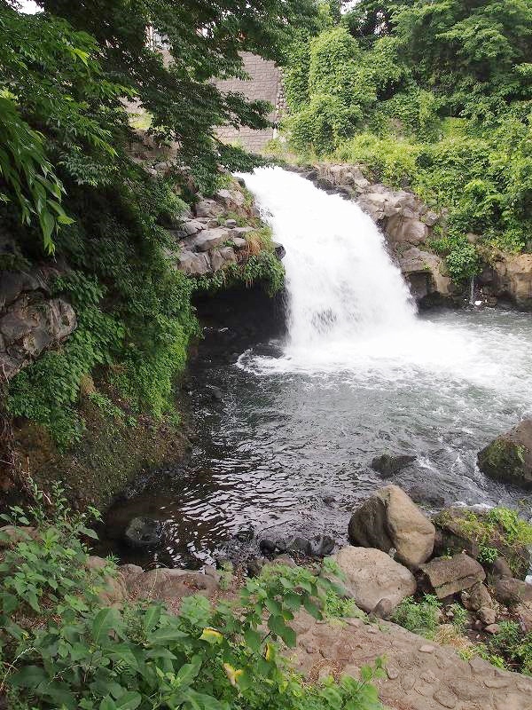 公園から下流側の滝を撮影。水量の多さに驚く。この滝の上にもう一段小さな滝がある