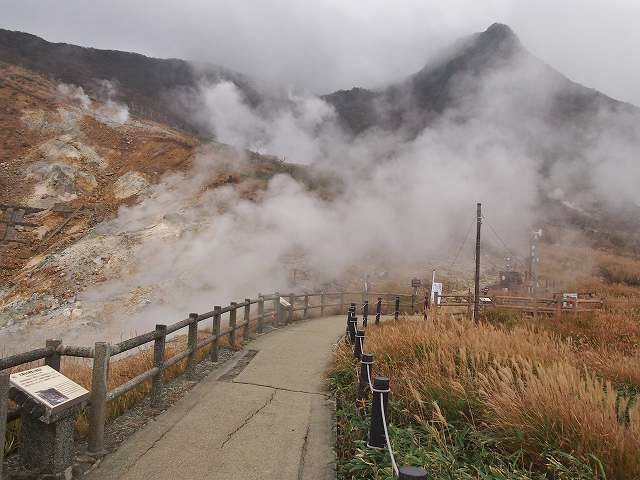 火山活動という自然の営みに対して驚きと怖さを感じた大涌谷（※2014年秋撮影）