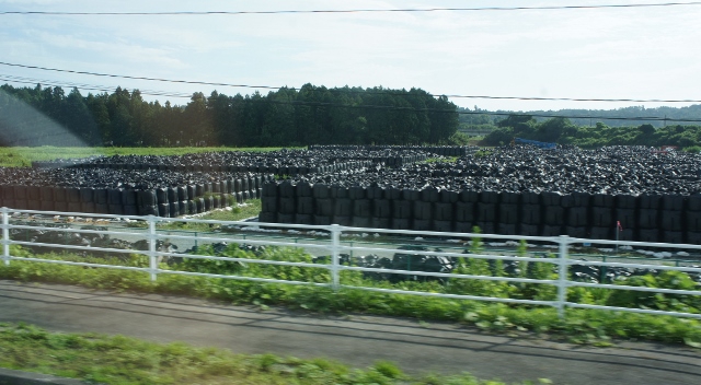 汚染された土が詰められたフレコンバッグ。2013年8月24日、楢葉町にて撮影