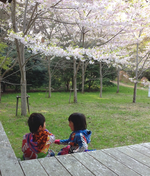 福浦島は桜が見事でした