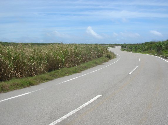 島内を走る道路。集落がある島の中央と港付近以外はサトウキビ畑などが広がっている