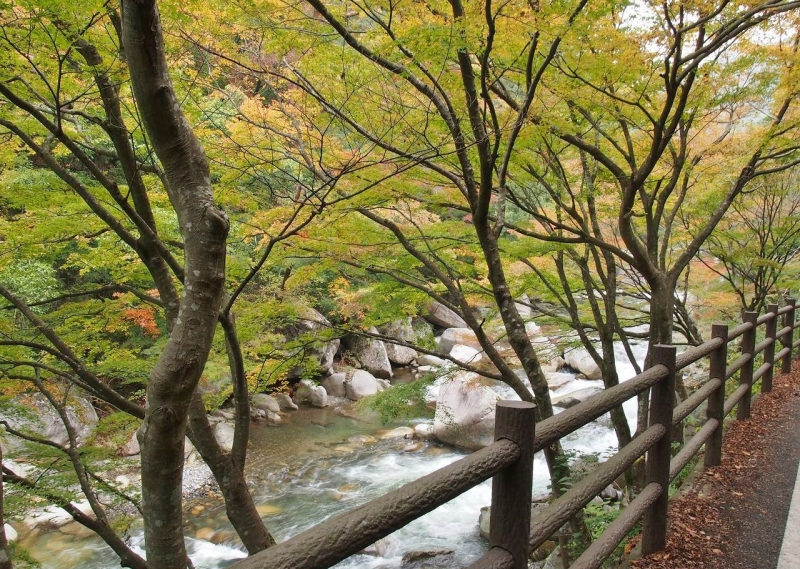 道は渓流沿いにあります。長潭橋付近は紅葉にはまだ早すぎました。