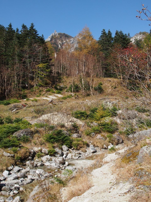 林の左奥に見える山が地蔵岳。よく見れば写真でもオベリスクの巨石が小さいながらも確認できます。