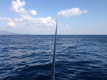 初島の海を眺めながら釣り！こう見ると釣れそうな気がするが・・・
