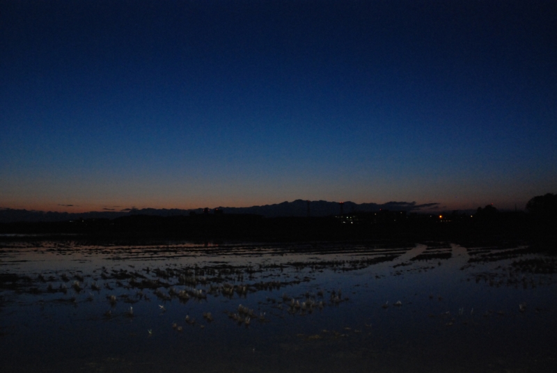 流灯花火大会会場近く、航空自衛隊松島基地近辺の田んぼ。震災から1年後も水没したままだった