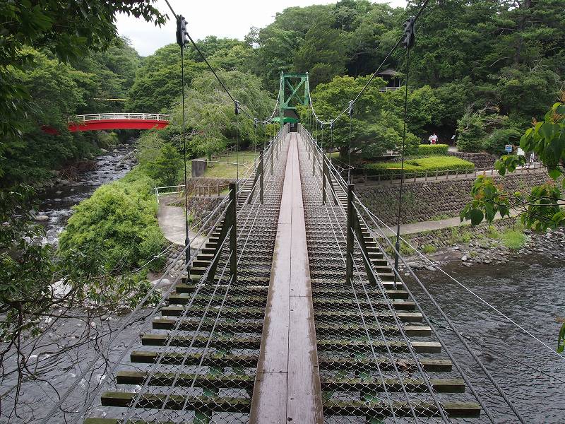 吊り橋を渡り切った所から中央公園を撮影。吊り橋は長さ63ｍ。写真左側の赤い橋が太鼓橋である。