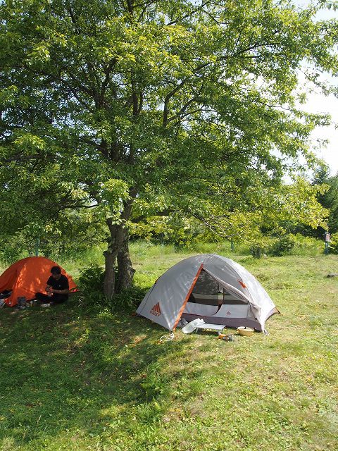 敷地のはずれに木が一本立っており、そこにテントを設営する。