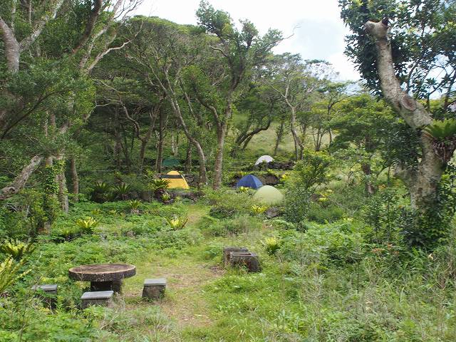青ヶ島の野営場。キャンプ場は火口の中央、丸山の裾野にある