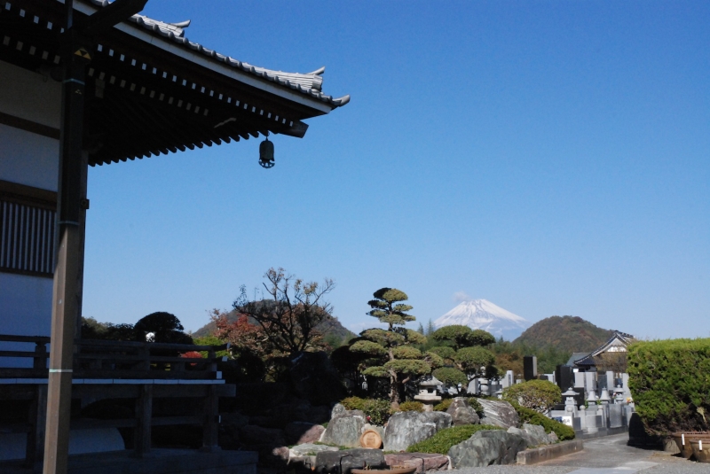 北条氏の菩提寺のひとつでもある成福寺からの富士山。お寺の墓地の先の一段下がった辺りまでは、洪水時に浸水するとされるが、寺がある周辺はぎりぎり浸水しない場所と言われてきた。