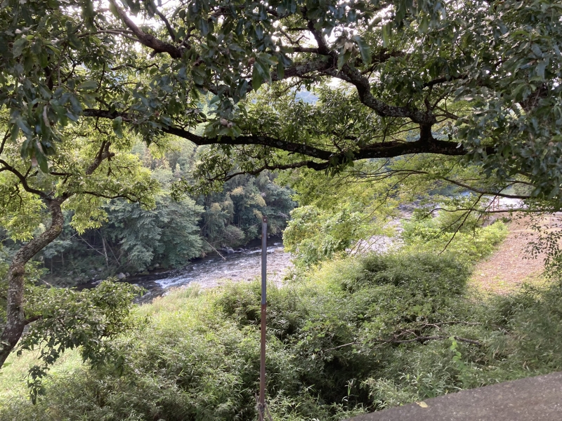 場所は旧修善寺町の大見川が作った崖沿い。「土地の高さ」が大事なことは想像できます。